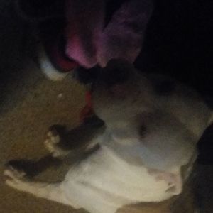 Meet your Posher, Evan